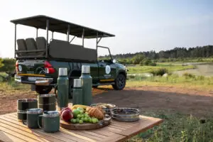 Fifty-Five Mjejane Luxury Game Drives