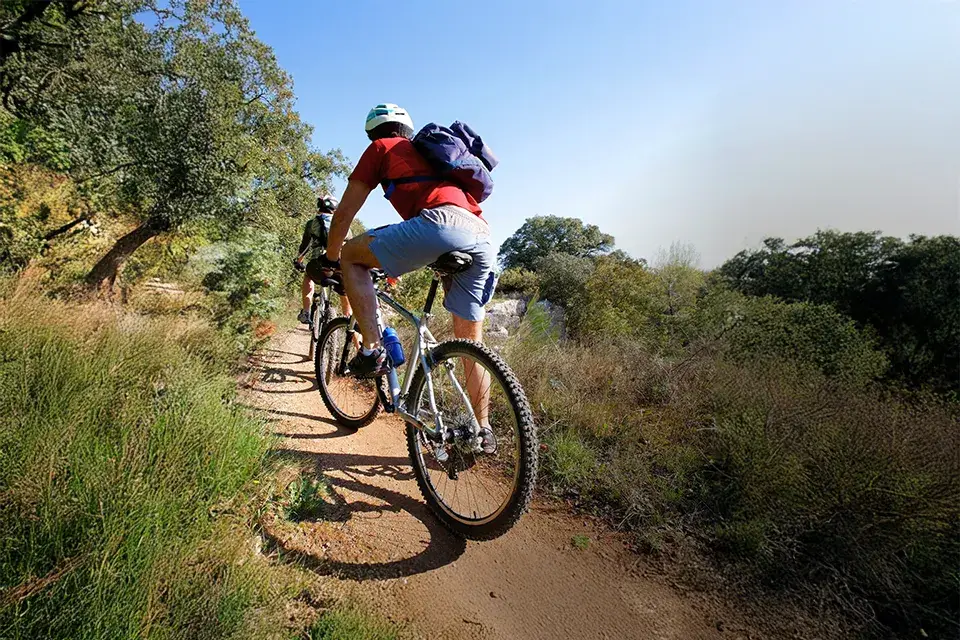 Cyclists biking on a scenic forest trail.